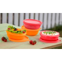 Buddy Bowl Buddy Bowl
